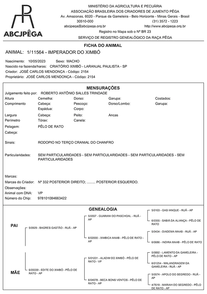 documento Genealogia do Imperador