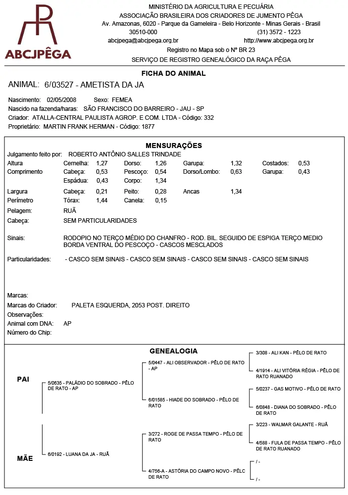 documento pedigree-ametista da ja